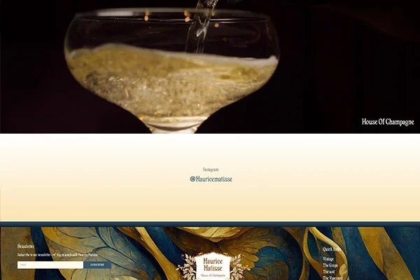 Web Design services